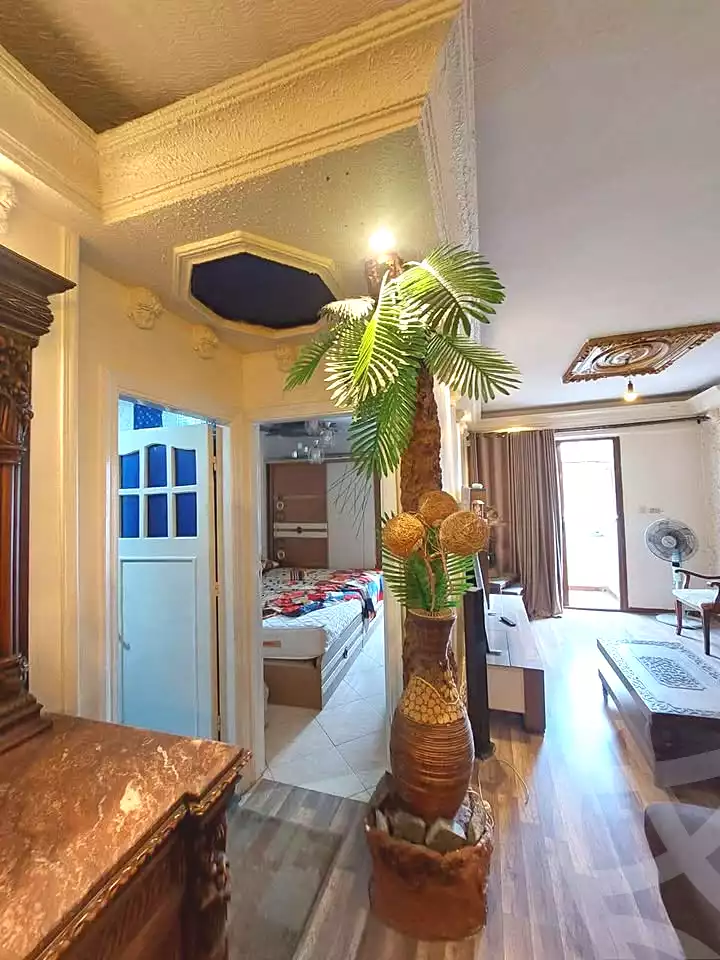 https://aqarmap.com.eg/en/listing/6779814-for-sale-alexandria-el-asafra-shr-jml-bd-lnsr