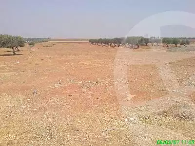 https://aqarmap.com.eg/en/listing/6780102-for-sale-cairo-6th-of-october-lhsry