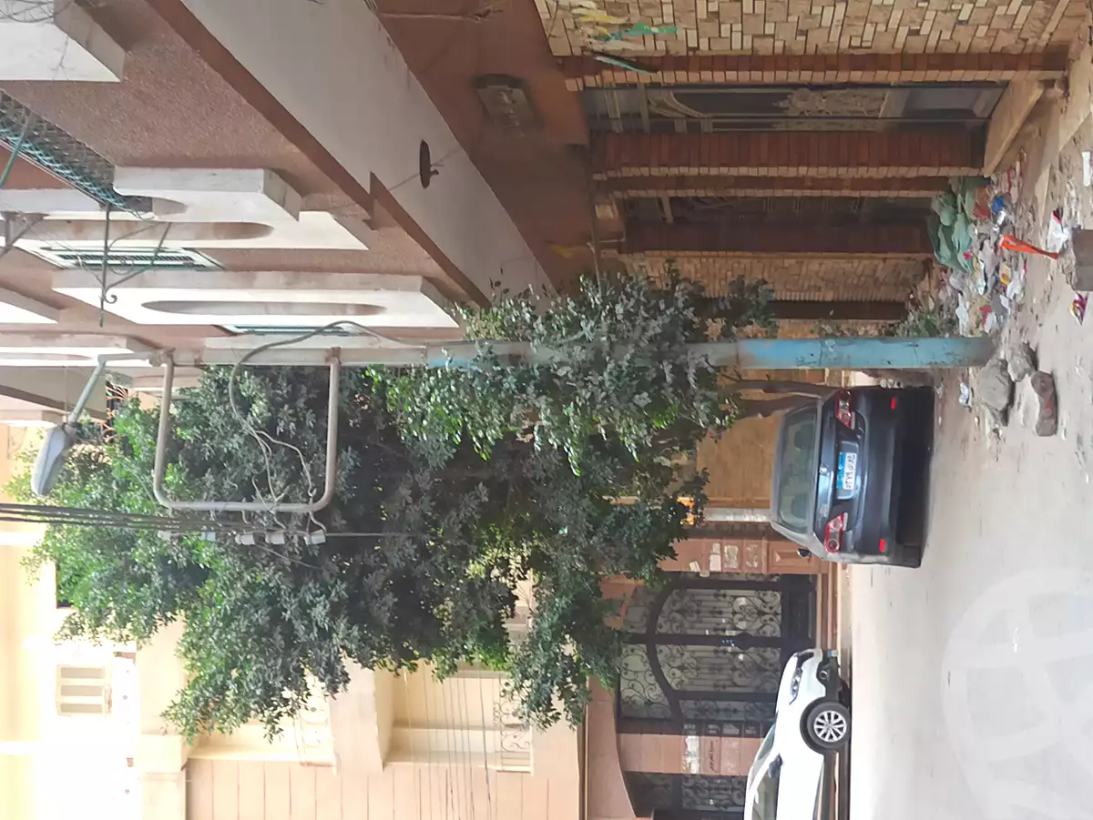 https://aqarmap.com.eg/ar/listing/6783084-for-rent-gharbia-tanta-lstd-mohammed-gabir-st