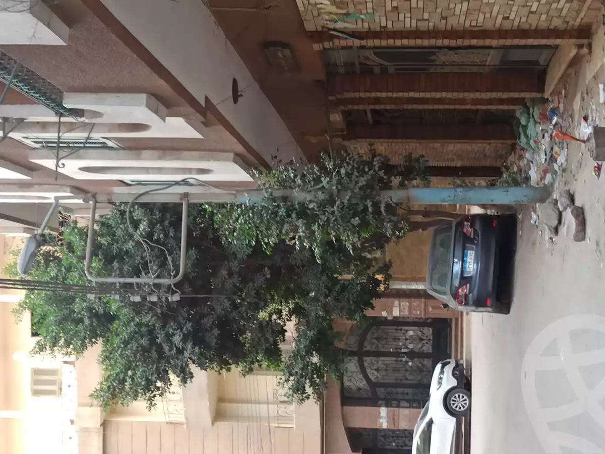 https://aqarmap.com.eg/ar/listing/6783084-for-rent-gharbia-tanta-lstd-mohammed-gabir-st
