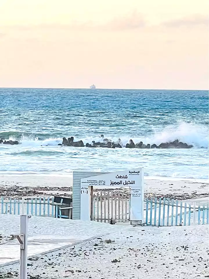 https://aqarmap.com.eg/ar/listing/6784060-for-sale-alexandria-l-jmy-shataa-el-nakheel