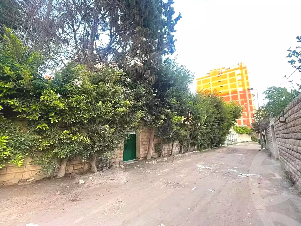https://aqarmap.com.eg/en/listing/6786553-for-sale-alexandria-l-jmy-el-hanouvel-emtedad-fatma-al-zahraa-st