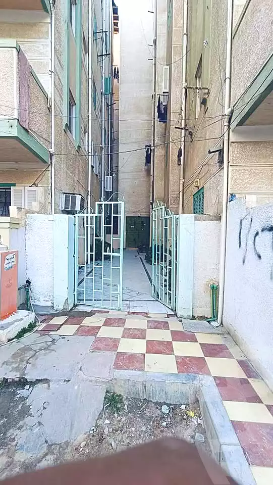 https://aqarmap.com.eg/en/listing/6786992-for-sale-alexandria-l-jmy-shataa-el-nakheel