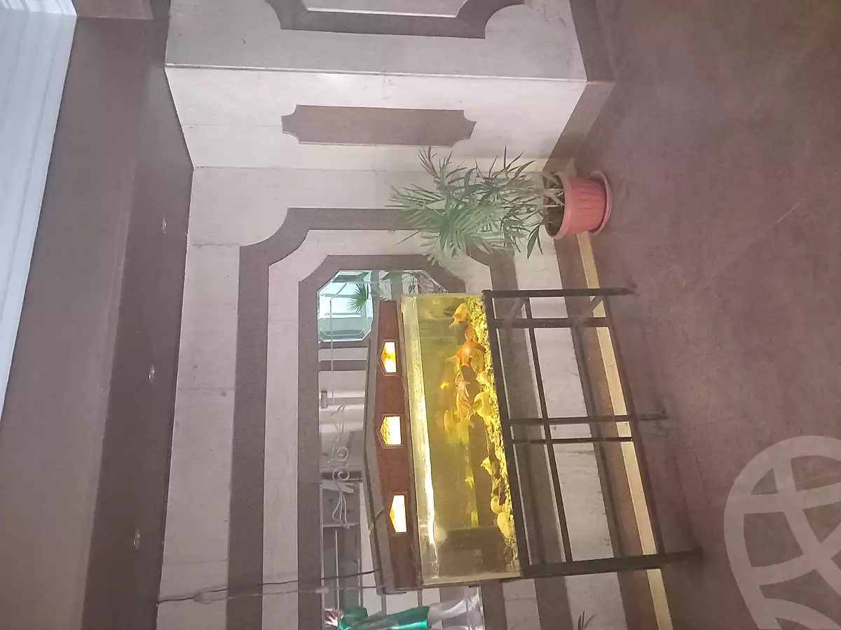 https://aqarmap.com.eg/en/listing/6787644-for-rent-cairo-el-maadi-autostrad