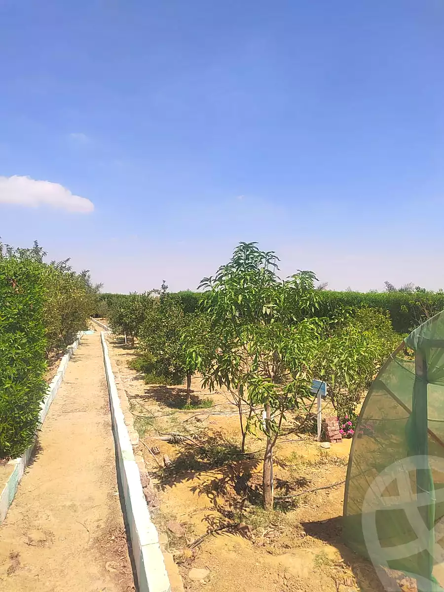 https://aqarmap.com.eg/ar/listing/6790887-for-sale-asyut-asyut-city-el-gomhoreya-st