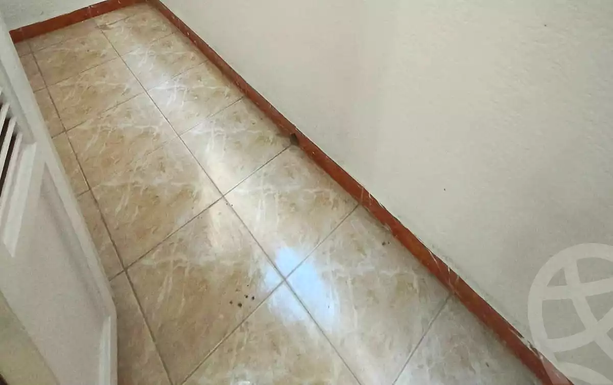 https://aqarmap.com.eg/ar/listing/6792398-for-sale-alexandria-lsywf-el-falki-street-16-el-eslah