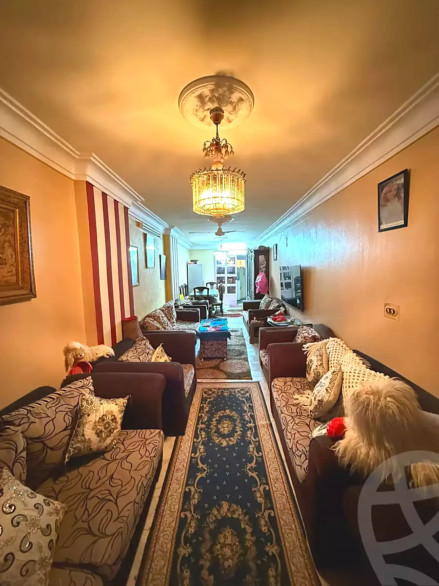 https://aqarmap.com.eg/en/listing/6792788-for-sale-alexandria-el-asafra-ali-bahgat-al-deryni-st