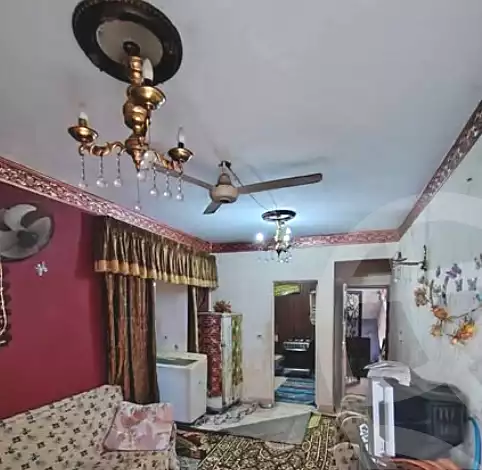 https://aqarmap.com.eg/en/listing/6796146-for-sale-alexandria-l-jmy-lbytsh