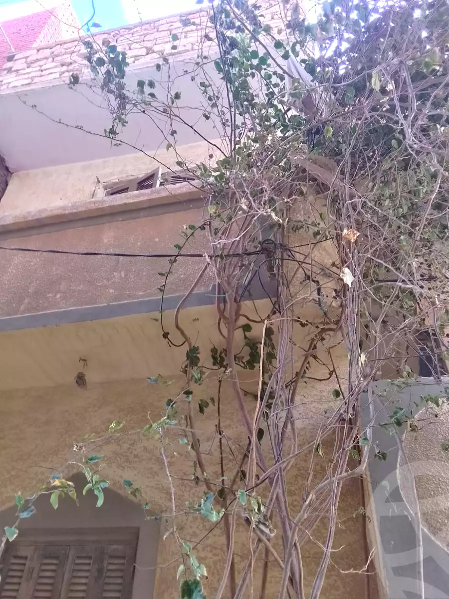 https://aqarmap.com.eg/ar/listing/6797824-for-sale-alexandria-abu-talat