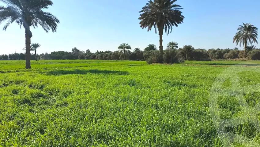 https://aqarmap.com.eg/ar/listing/6797862-for-sale-el-fayoum-lfywm-ljdyd
