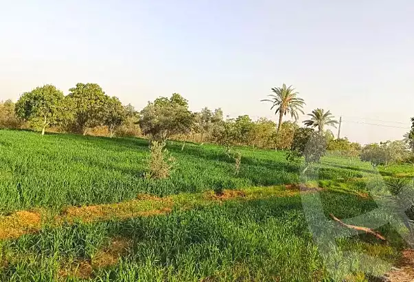 https://aqarmap.com.eg/en/listing/6802337-for-sale-suez-el-ganain-shandoura-village