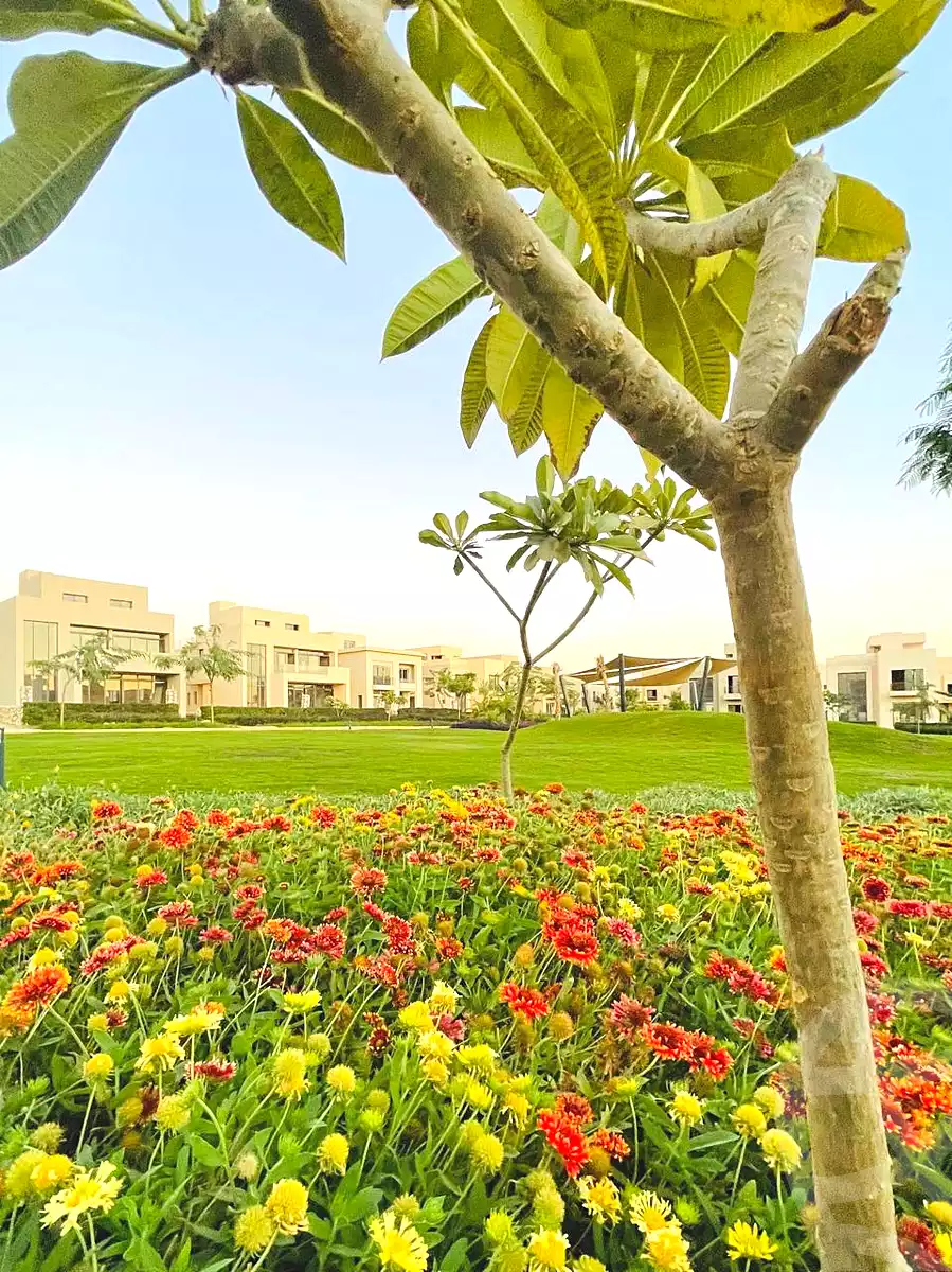 https://aqarmap.com.eg/en/listing/6803739-for-sale-cairo-6th-of-october-hadaeq-october-compounds-o-west-tulwa-o-west