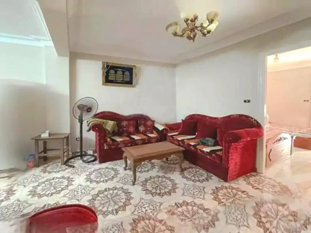 https://aqarmap.com.eg/en/listing/6804878-for-sale-alexandria-ganaklis