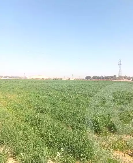 https://aqarmap.com.eg/en/listing/6805254-for-sale-cairo-ljyz-l-yt