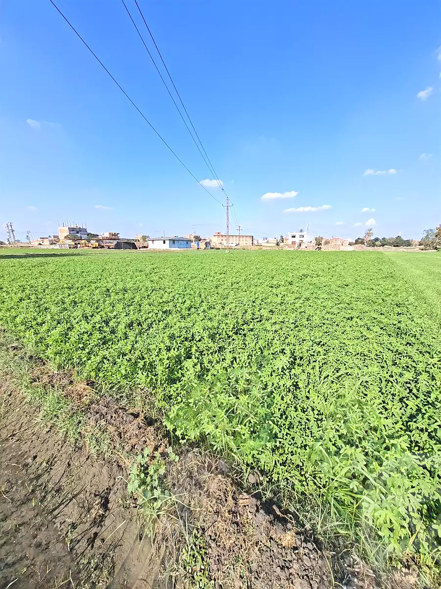 https://aqarmap.com.eg/en/listing/6807823-for-sale-sharqia-faqous-el-sawaleh