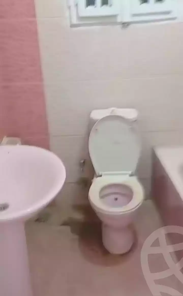 https://aqarmap.com.eg/ar/listing/6807822-for-rent-alexandria-l-jmy-lbytsh-saad-zaghloul-st