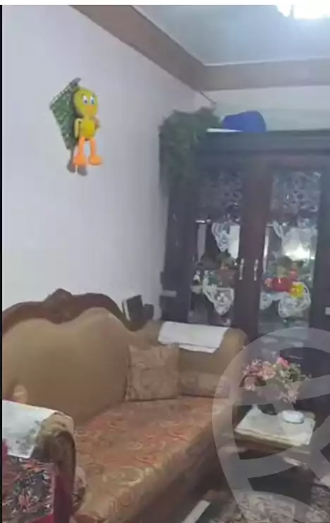https://aqarmap.com.eg/en/listing/6809019-for-sale-alexandria-mansheya