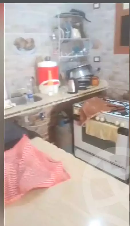 https://aqarmap.com.eg/ar/listing/6809564-for-sale-alexandria-l-jmy-lbytsh-bianchiii-street-1