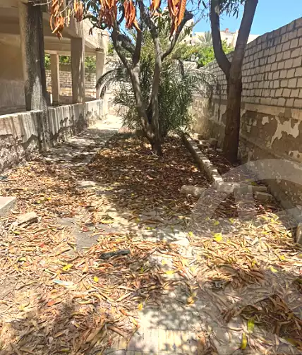 https://aqarmap.com.eg/en/listing/6814847-for-sale-alexandria-l-jmy-bw-ywsf