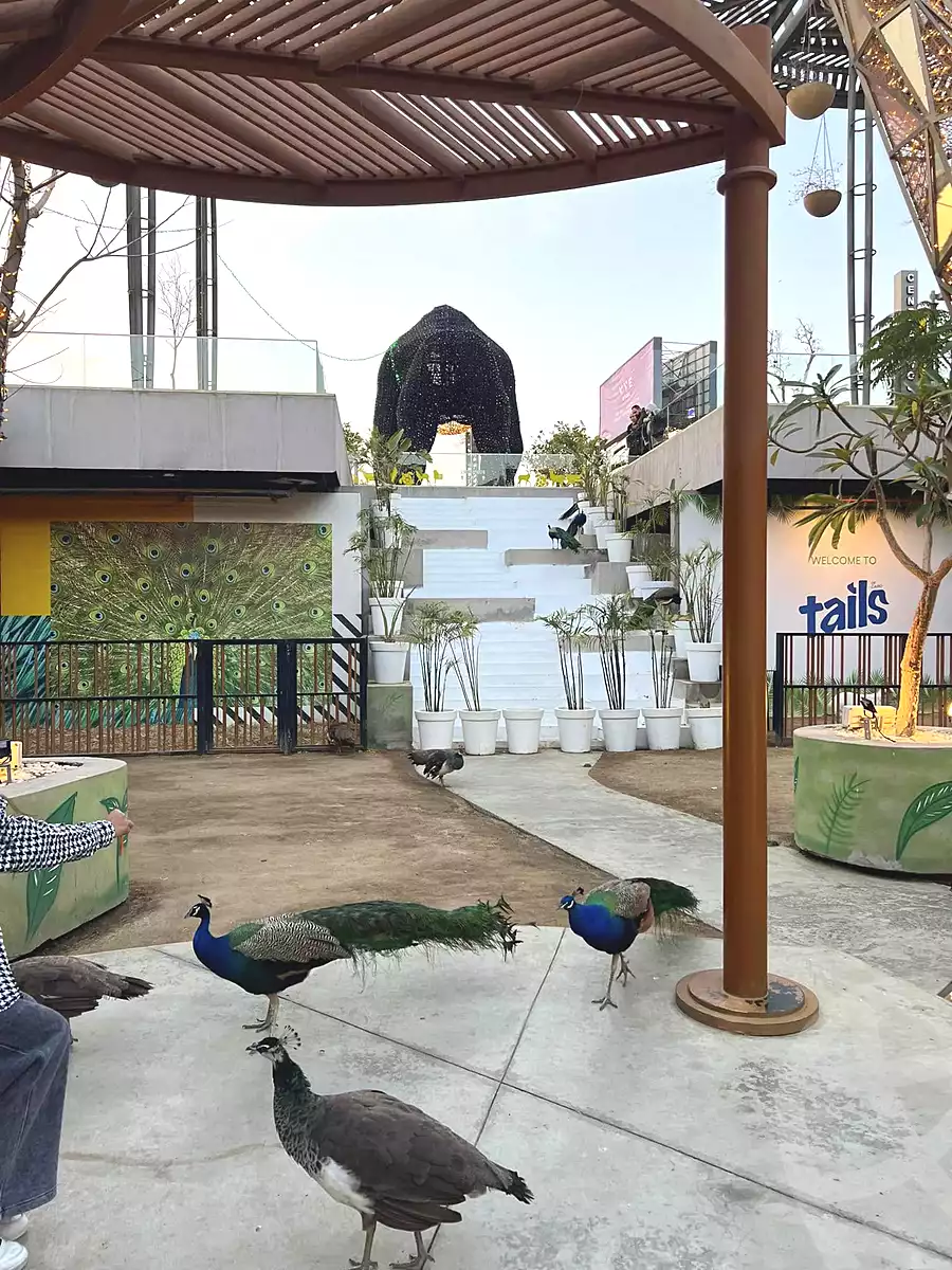 https://aqarmap.com.eg/en/listing/6818586-for-rent-cairo-el-sheikh-zayed-city-compounds-walk-of-cairo-mall