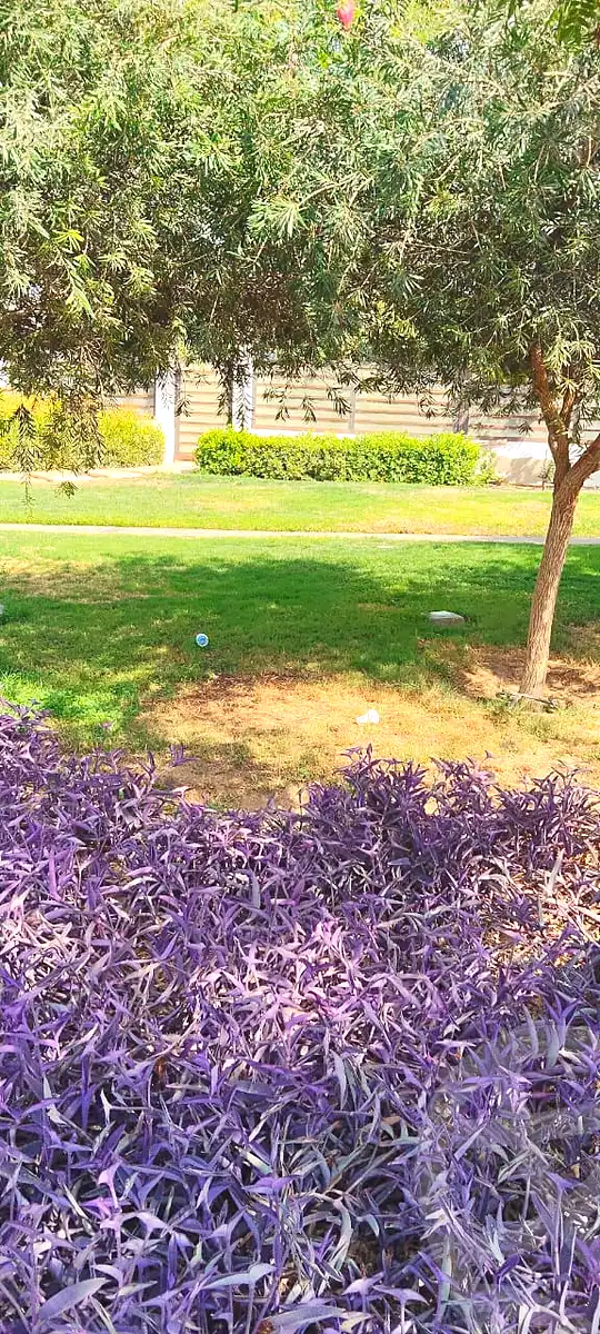 https://aqarmap.com.eg/en/listing/6818668-for-sale-cairo-new-cairo-compounds-hyde-park-centre-ville-hyde-park