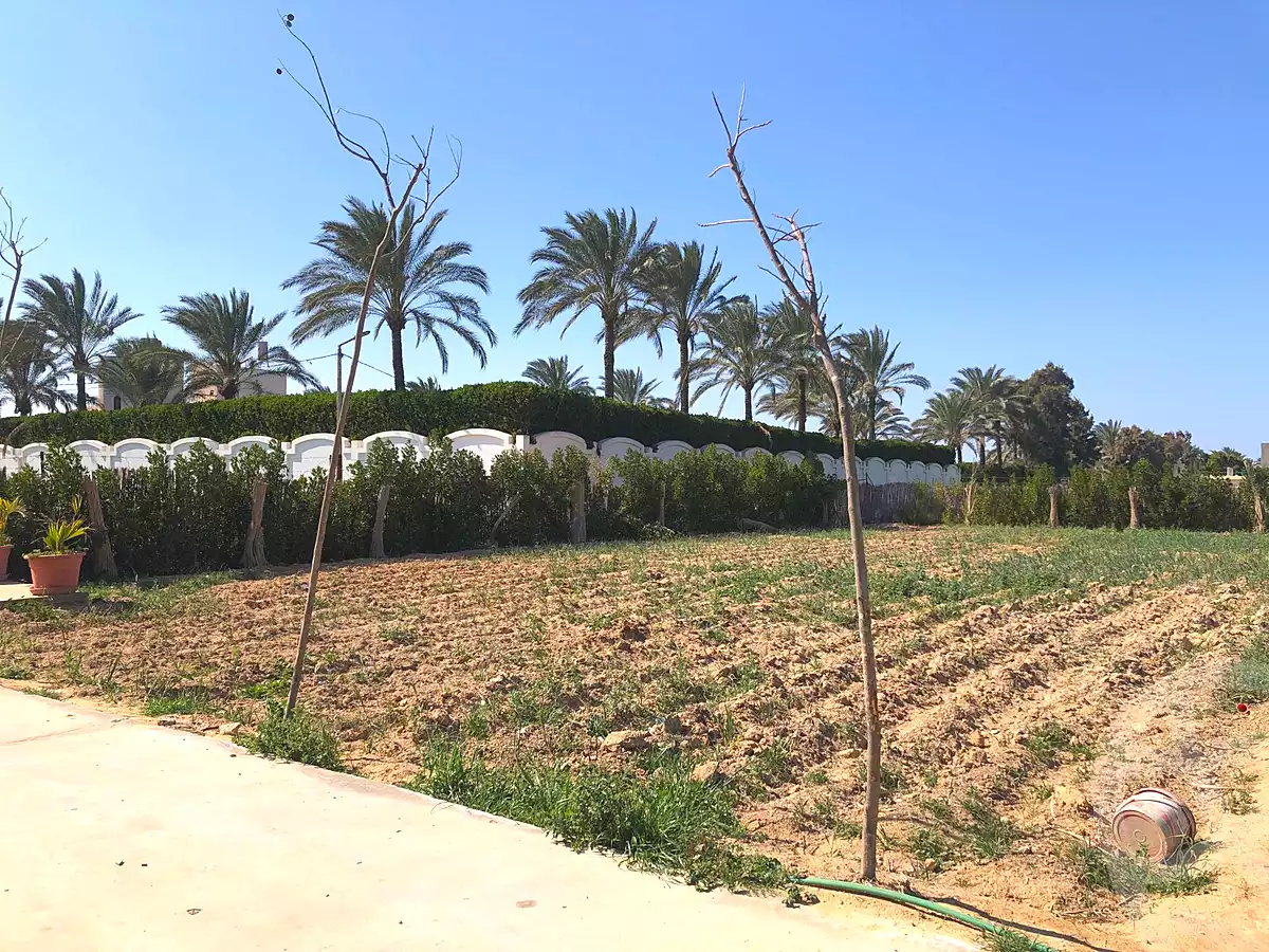 https://aqarmap.com.eg/en/listing/6821719-for-sale-alexandria-borg-el-arab-gamal-abd-el-naser-rd