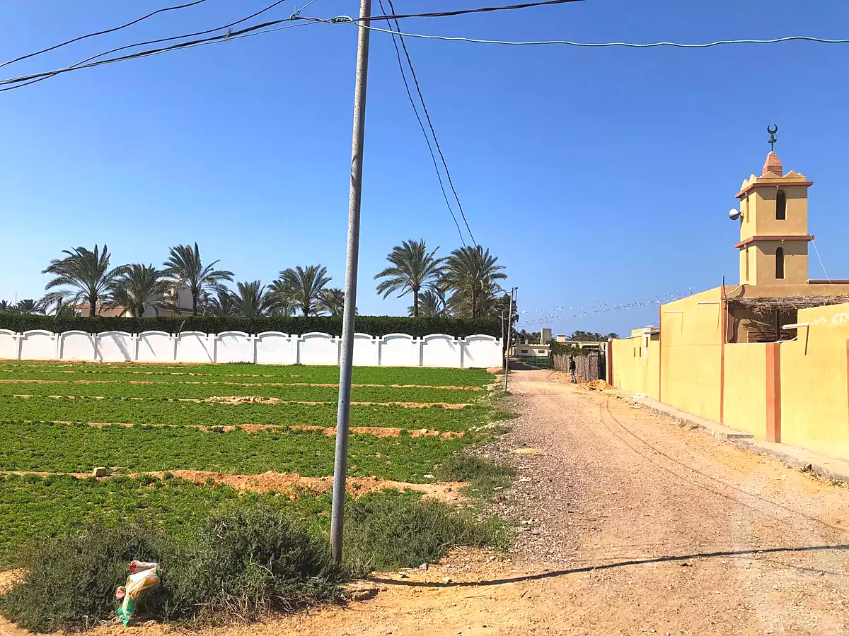 https://aqarmap.com.eg/en/listing/6821719-for-sale-alexandria-borg-el-arab-gamal-abd-el-naser-rd