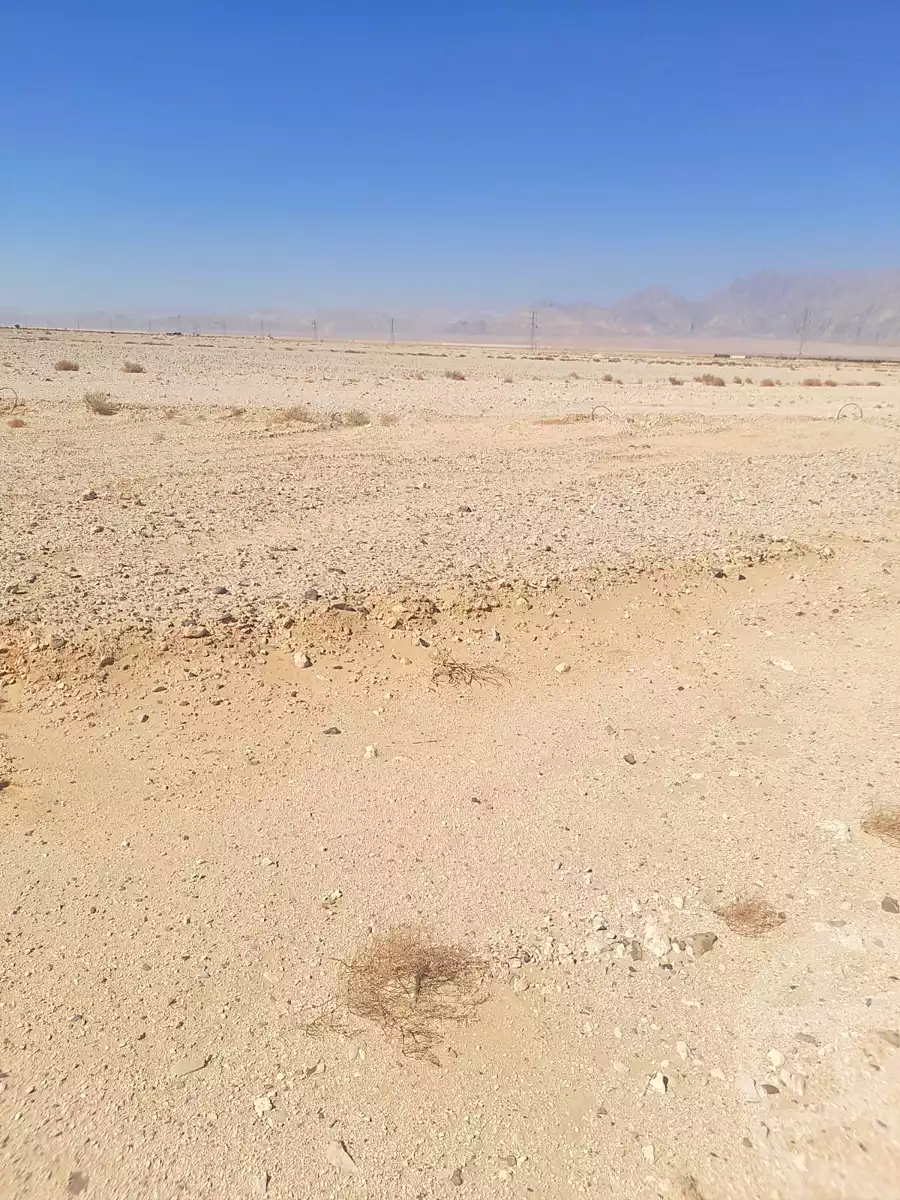 https://aqarmap.com.eg/en/listing/6517944-for-sale-jnwb-syn-tor-sinai-tor-sinai-city
