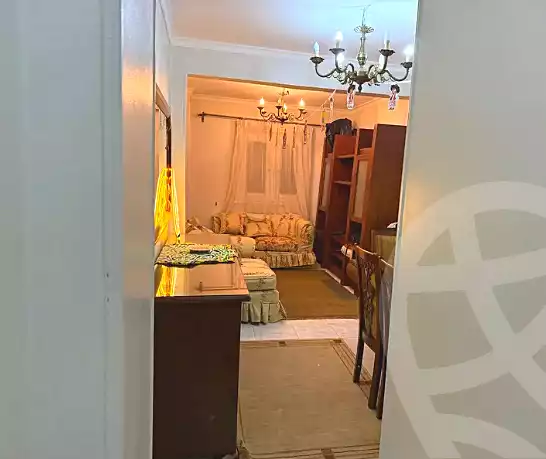 https://aqarmap.com.eg/ar/listing/6825873-for-rent-cairo-manial