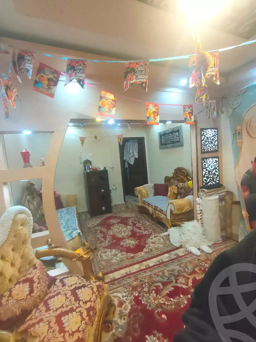https://aqarmap.com.eg/ar/listing/6829984-for-sale-alexandria-l-jmy-lbytsh-ain-shams-st