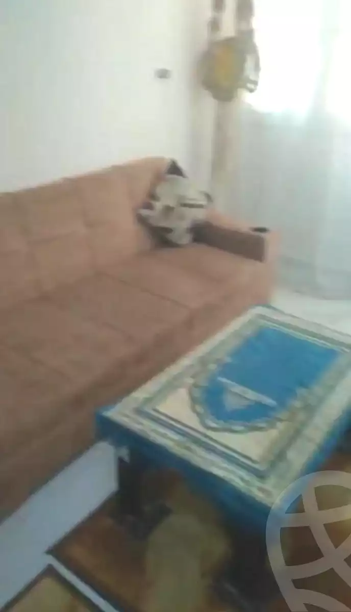 https://aqarmap.com.eg/ar/listing/6830214-for-sale-alexandria-l-jmy-lbytsh-el-hanafeya-st