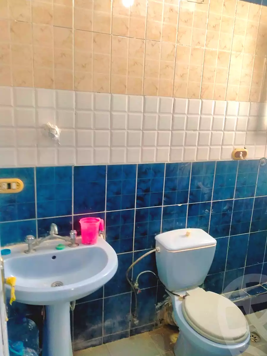 https://aqarmap.com.eg/ar/listing/6832182-for-rent-alexandria-l-jmy-shataa-el-nakheel-no-9-st