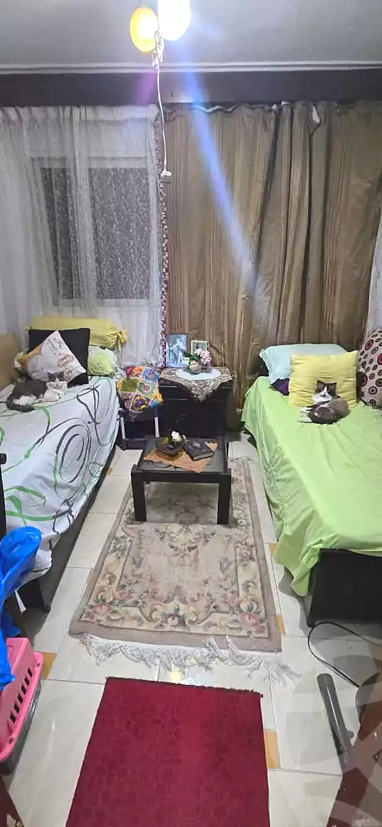 https://aqarmap.com.eg/ar/listing/6832832-for-rent-alexandria-miami-iskandar-ibrahim-st