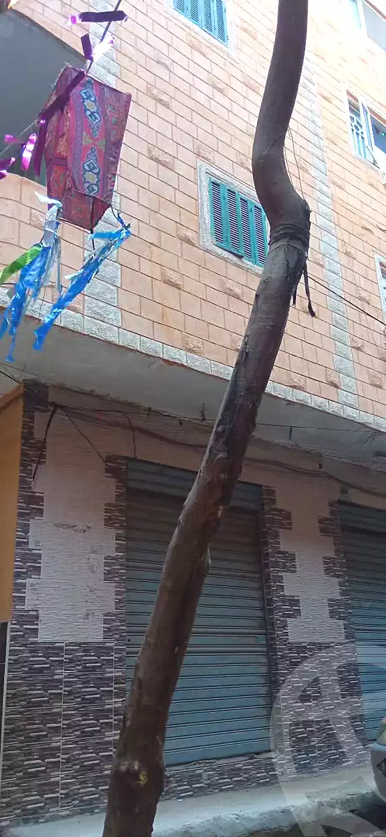 https://aqarmap.com.eg/en/listing/6833581-for-sale-cairo-el-marg-old-marg