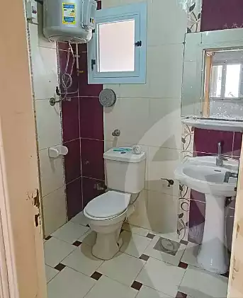 https://aqarmap.com.eg/en/listing/6847981-for-rent-alexandria-roshdy