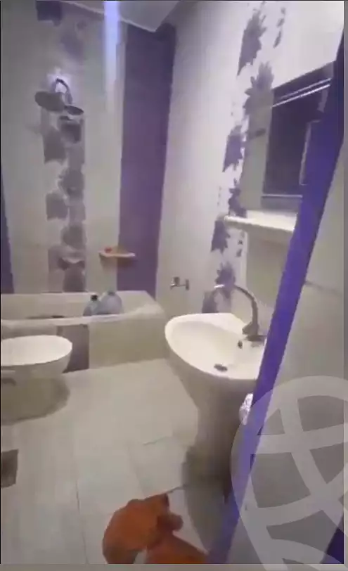 https://aqarmap.com.eg/ar/listing/6848663-for-rent-alexandria-al-agamy-lbytsh-street-8