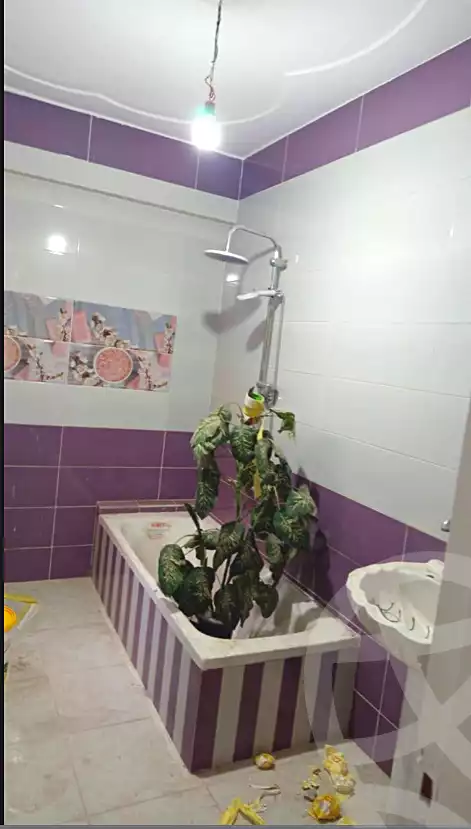 https://aqarmap.com.eg/ar/listing/6849597-for-rent-alexandria-al-agamy-el-hanouvel-al-haded-we-al-soulb-st