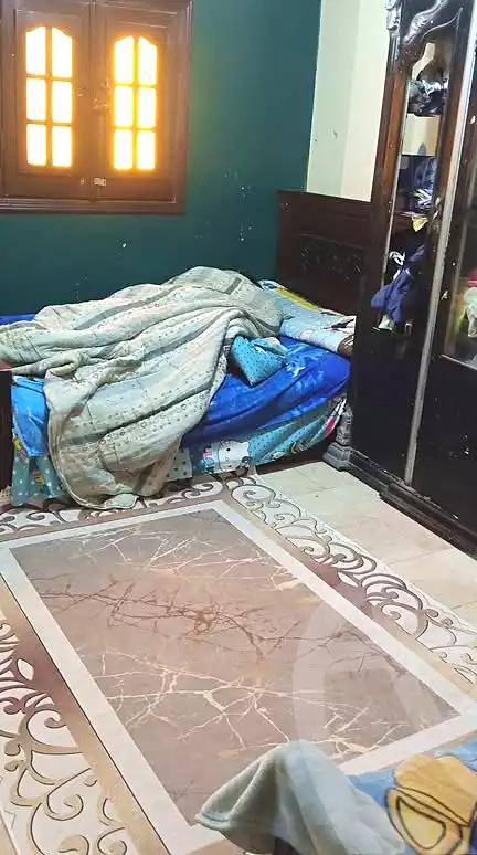 https://aqarmap.com.eg/en/listing/6850359-for-sale-alexandria-el-mandara-nabawy-al-mohandes-st