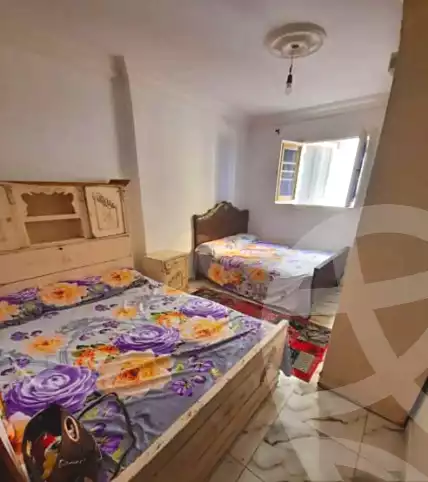 https://aqarmap.com.eg/ar/listing/6850705-for-rent-alexandria-el-mandara