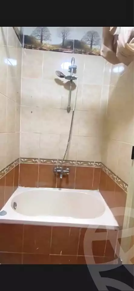 https://aqarmap.com.eg/en/listing/6855428-for-rent-alexandria-moharram-bey-el-rasafa-st