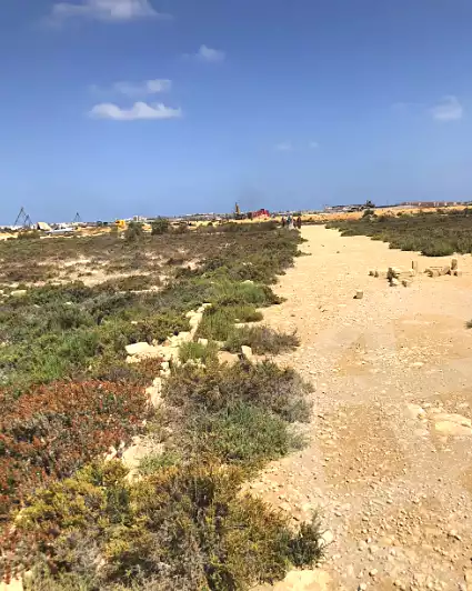 https://aqarmap.com.eg/en/listing/6863066-for-sale-alexandria-borg-el-arab-el-bahira-st