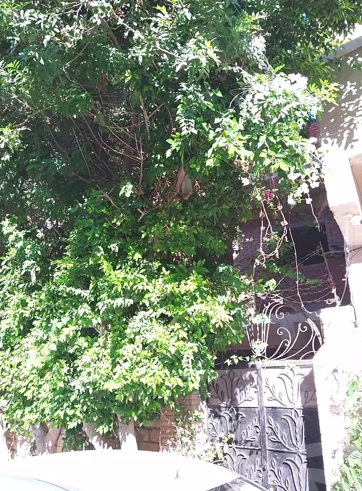 https://aqarmap.com.eg/ar/listing/6867773-for-rent-alexandria-al-agamy-el-hanouvel-al-haded-we-al-soulb-st