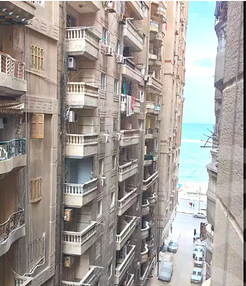 https://aqarmap.com.eg/en/listing/6873289-for-sale-alexandria-el-mandara-tryq-ljysh