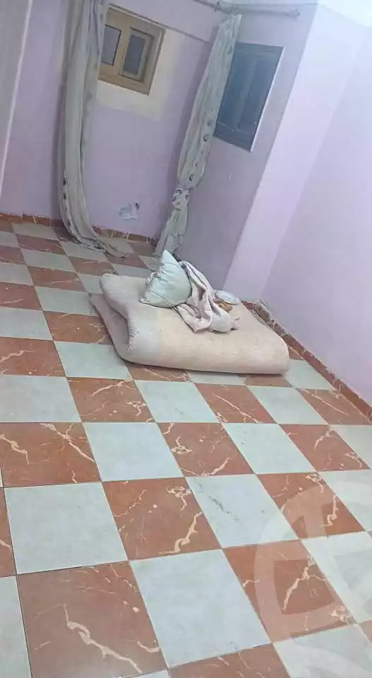 https://aqarmap.com.eg/ar/listing/6877070-for-sale-alexandria-el-mandara-moritania-st