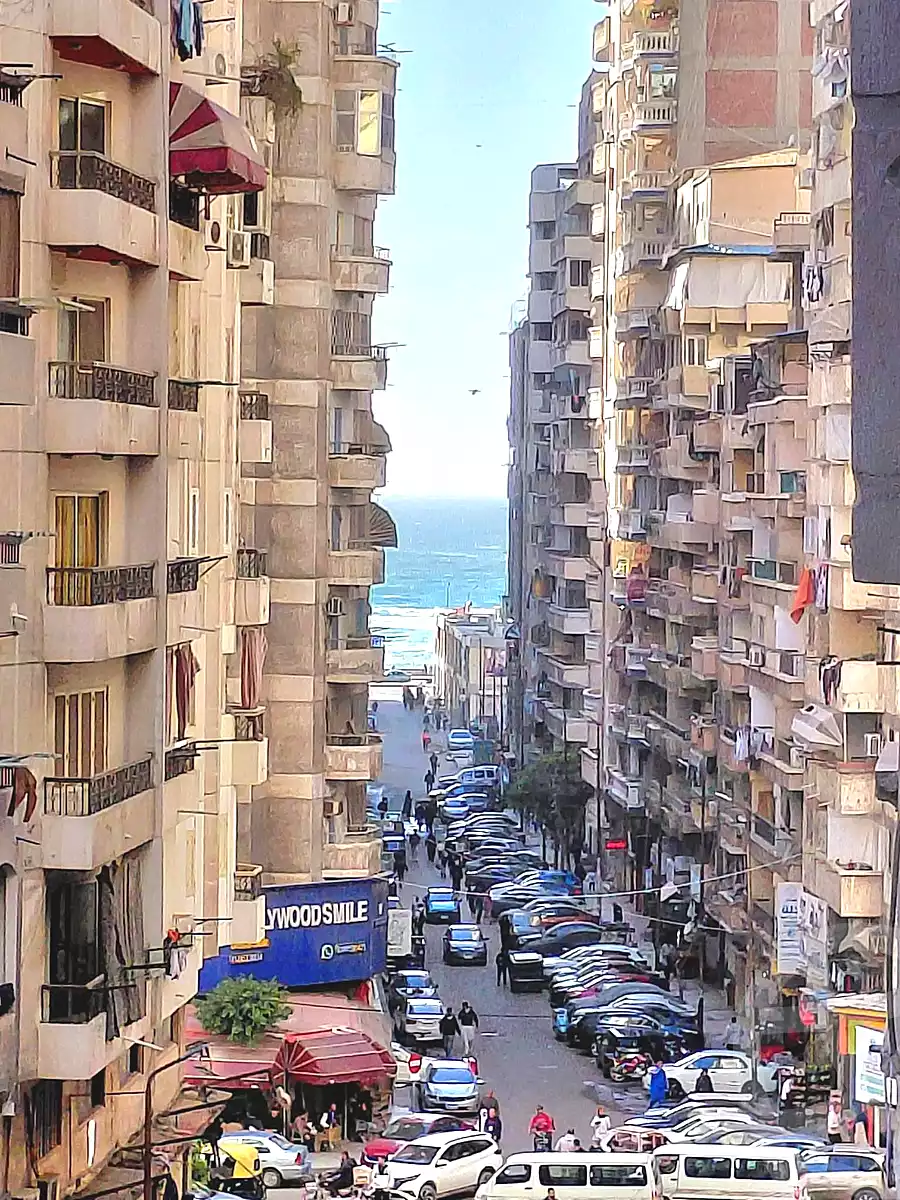 https://aqarmap.com.eg/ar/listing/6881213-for-sale-alexandria-el-asafra-salman-el-farsi-st