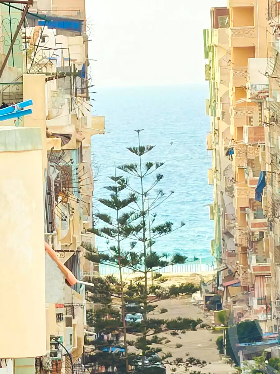 https://aqarmap.com.eg/en/listing/6882969-for-sale-alexandria-al-agamy-shataa-el-nakheel