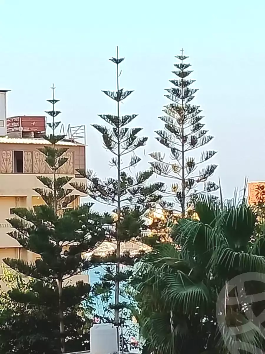 https://aqarmap.com.eg/ar/listing/6884831-for-sale-marsa-matruh-marsa-matrouh-city-el-ezaa-st