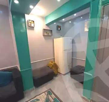 https://aqarmap.com.eg/ar/listing/6886836-for-rent-cairo-manial-manial-st