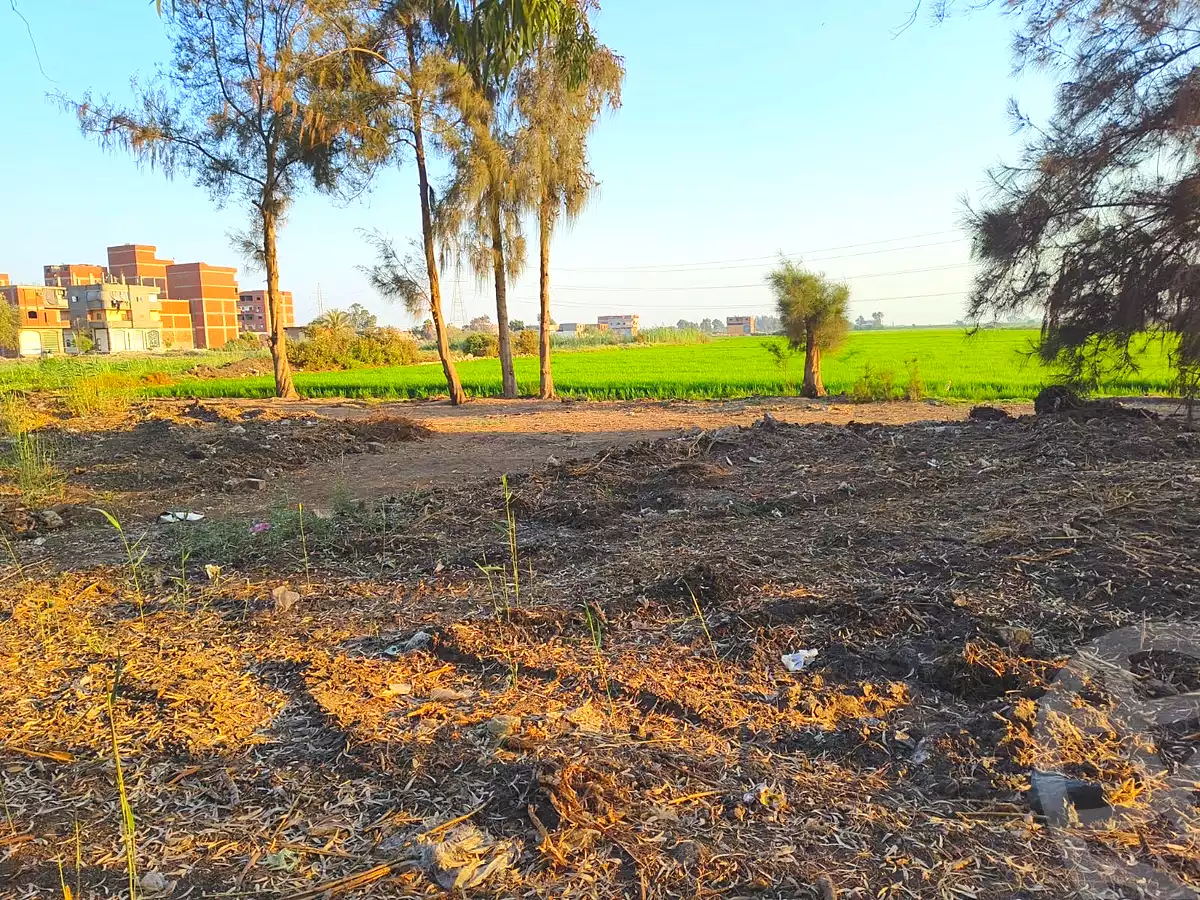 https://aqarmap.com.eg/en/listing/6887756-for-sale-dakahlia-mansoura-el-bashtamir