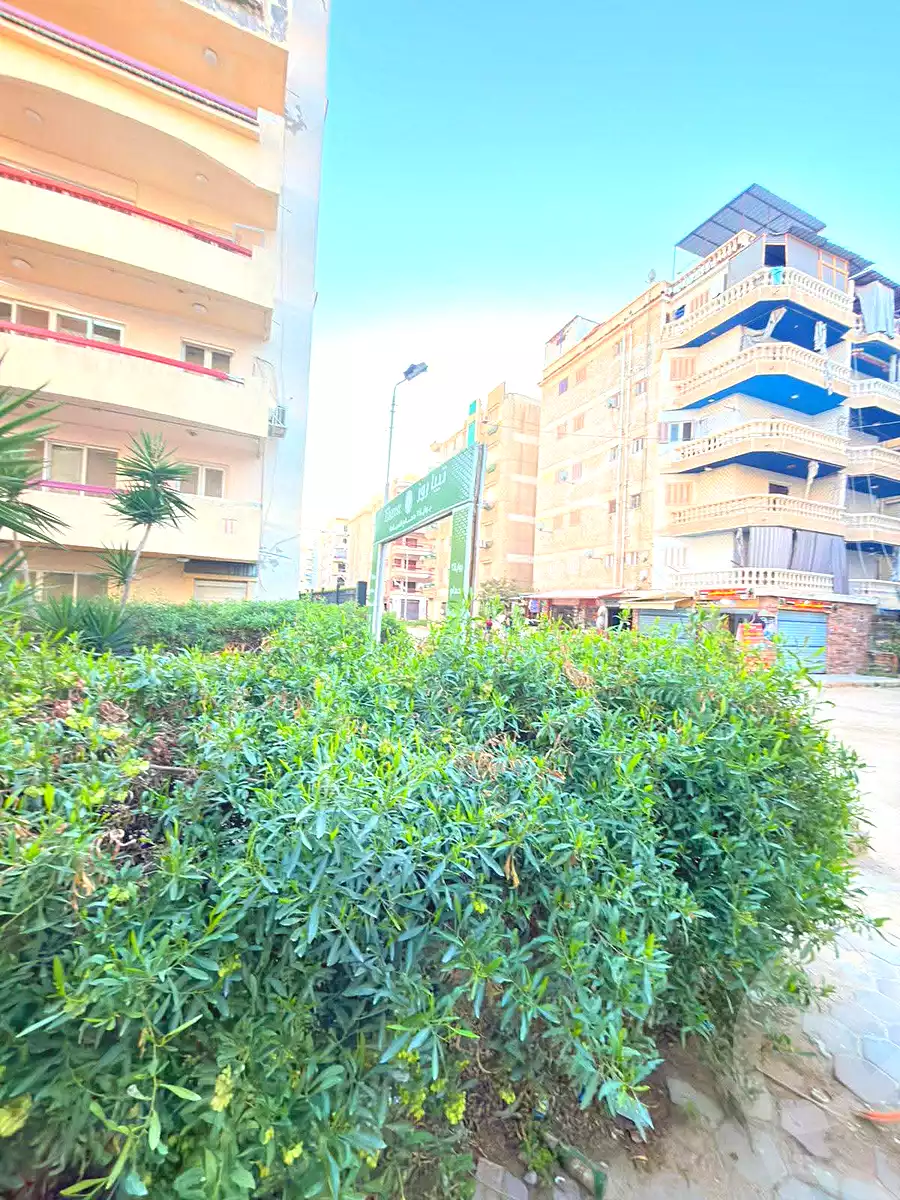 https://aqarmap.com.eg/en/listing/6890025-for-sale-alexandria-al-agamy-shataa-el-nakheel